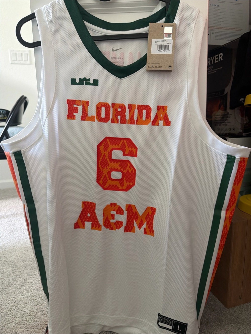 Nike Lebron James FAMU collab basketball jersey